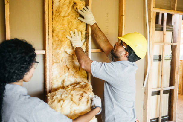 Best Insulation Replacement Services  in Laureldale, PA