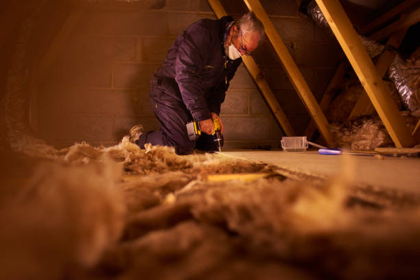 Best Professional Insulation Contractor  in Laureldale, PA
